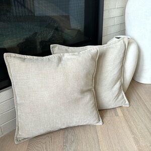 Set of two Pottery Barn Pillows